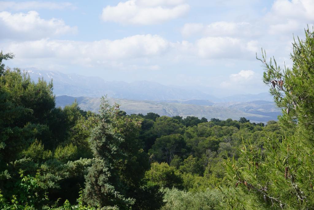 Monte Vardia Χανιά Δωμάτιο φωτογραφία