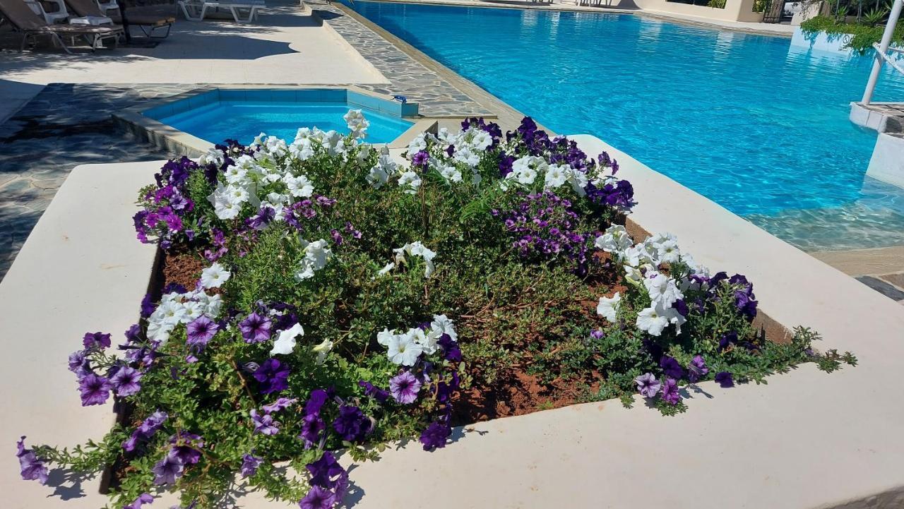 Monte Vardia Χανιά Εξωτερικό φωτογραφία